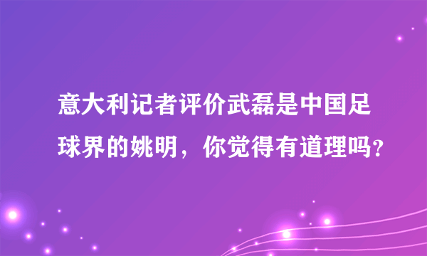 意大利记者评价武磊是中国足球界的姚明，你觉得有道理吗？