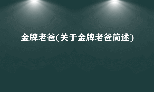 金牌老爸(关于金牌老爸简述)