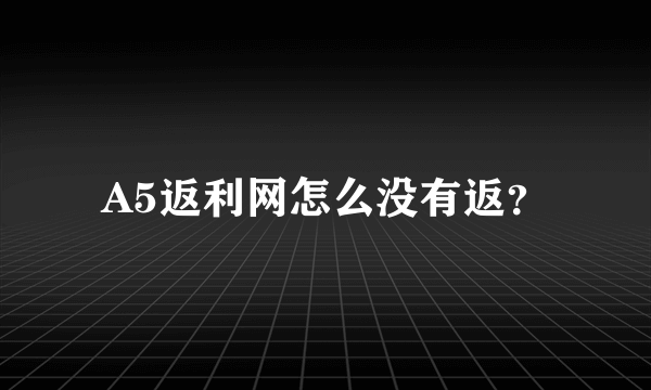 A5返利网怎么没有返？