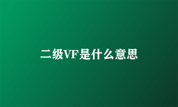 二级VF是什么意思