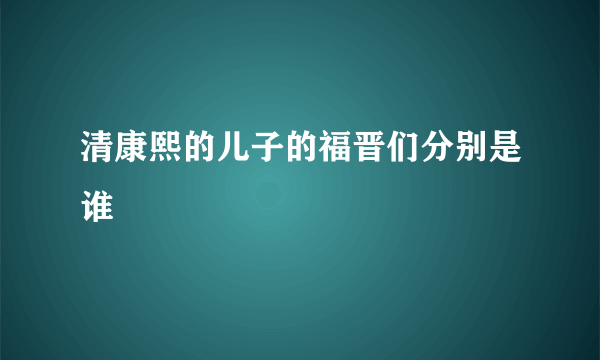 清康熙的儿子的福晋们分别是谁