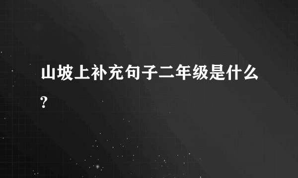 山坡上补充句子二年级是什么?