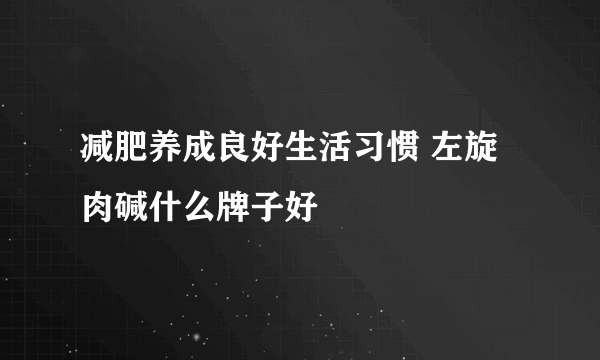 减肥养成良好生活习惯 左旋肉碱什么牌子好