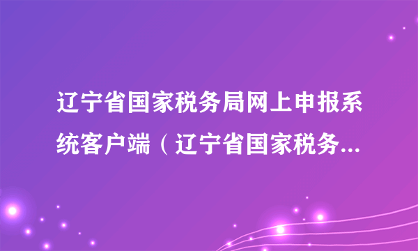 辽宁省国家税务局网上申报系统客户端（辽宁省国家税务局网上申报）