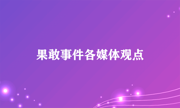 果敢事件各媒体观点