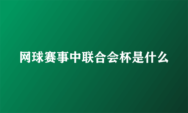 网球赛事中联合会杯是什么