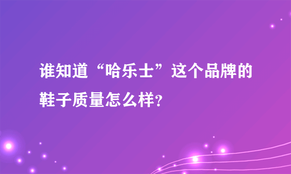 谁知道“哈乐士”这个品牌的鞋子质量怎么样？