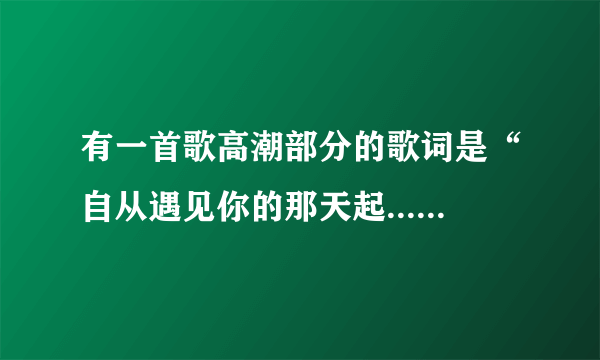 有一首歌高潮部分的歌词是“自从遇见你的那天起....无论上天下地...如影随形...”这首歌叫什么？谁唱的？