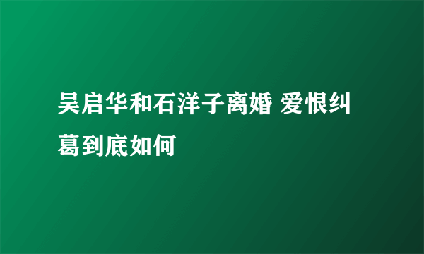 吴启华和石洋子离婚 爱恨纠葛到底如何