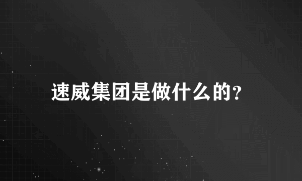 速威集团是做什么的？