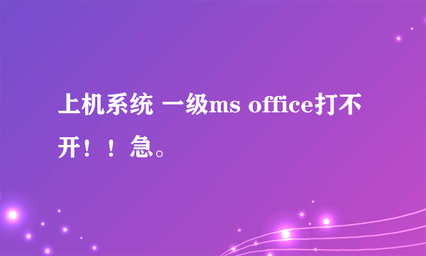 上机系统 一级ms office打不开！！急。