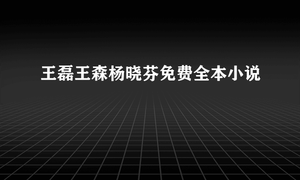 王磊王森杨晓芬免费全本小说