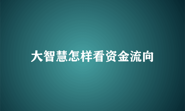 大智慧怎样看资金流向