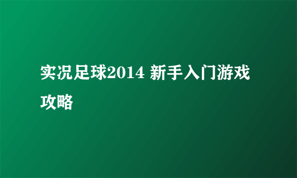 实况足球2014 新手入门游戏攻略