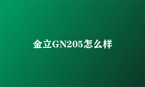 金立GN205怎么样