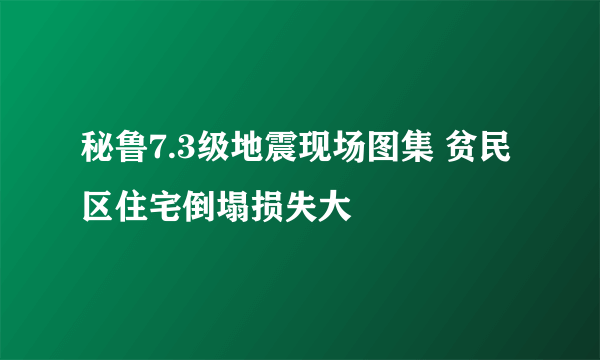 秘鲁7.3级地震现场图集 贫民区住宅倒塌损失大