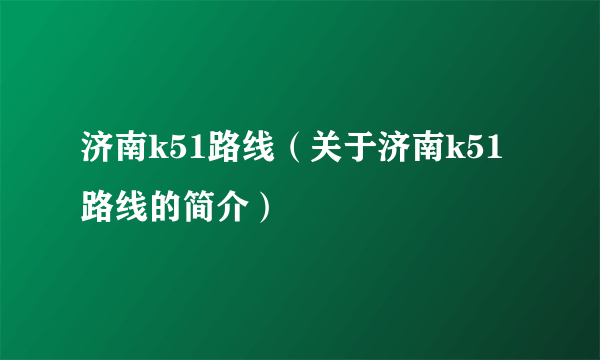 济南k51路线（关于济南k51路线的简介）