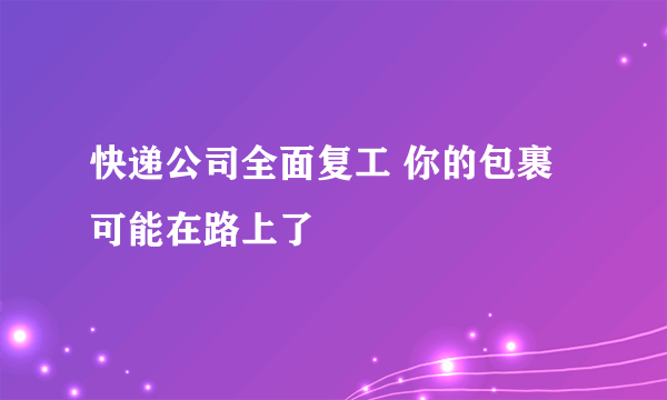 快递公司全面复工 你的包裹可能在路上了