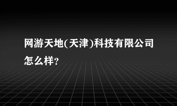 网游天地(天津)科技有限公司怎么样？