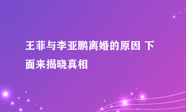 王菲与李亚鹏离婚的原因 下面来揭晓真相