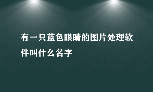 有一只蓝色眼睛的图片处理软件叫什么名字