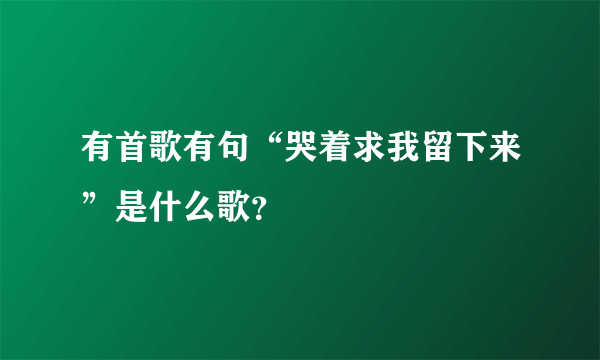 有首歌有句“哭着求我留下来”是什么歌？