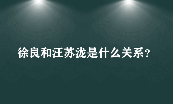 徐良和汪苏泷是什么关系？