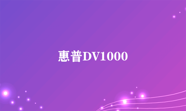 惠普DV1000