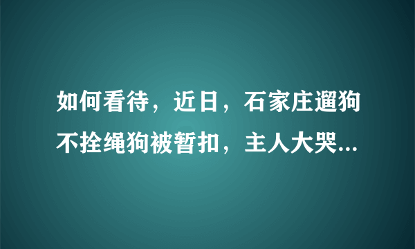 如何看待，近日，石家庄遛狗不拴绳狗被暂扣，主人大哭这种行为？