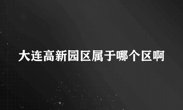 大连高新园区属于哪个区啊