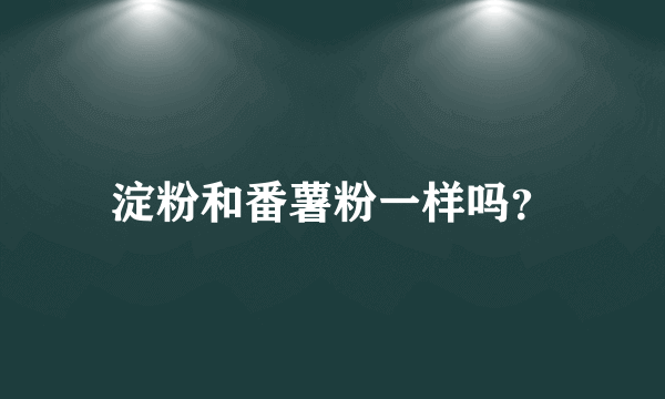 淀粉和番薯粉一样吗？