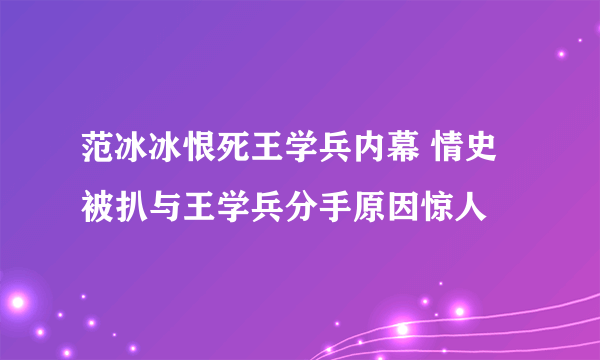 范冰冰恨死王学兵内幕 情史被扒与王学兵分手原因惊人