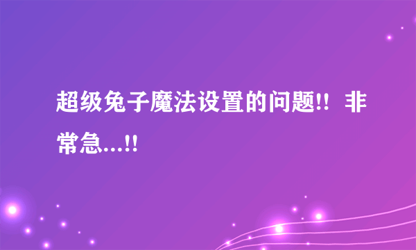 超级兔子魔法设置的问题!!  非常急...!!