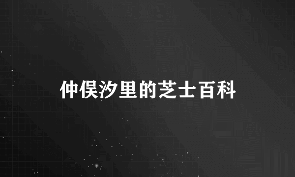 仲俣汐里的芝士百科