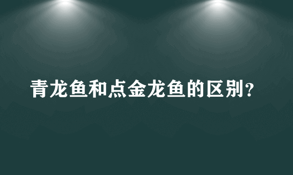 青龙鱼和点金龙鱼的区别？