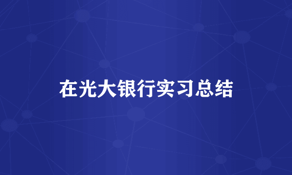 在光大银行实习总结