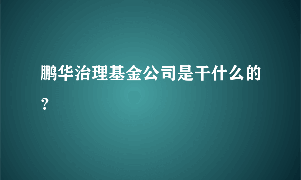 鹏华治理基金公司是干什么的？