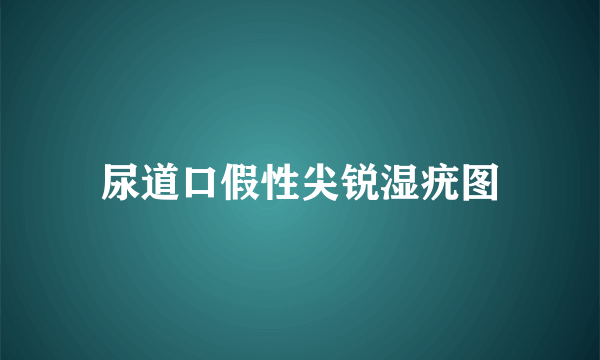 尿道口假性尖锐湿疣图