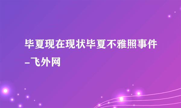 毕夏现在现状毕夏不雅照事件-飞外网