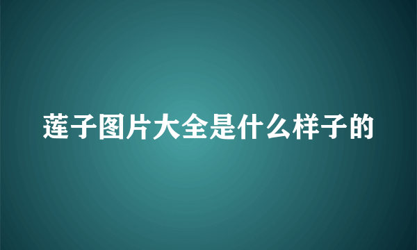 莲子图片大全是什么样子的