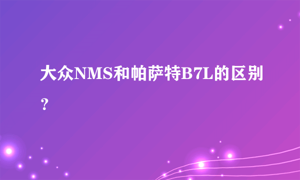 大众NMS和帕萨特B7L的区别？