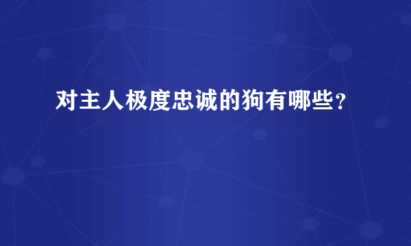 对主人极度忠诚的狗有哪些？