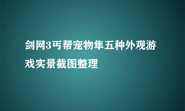 剑网3丐帮宠物隼五种外观游戏实景截图整理