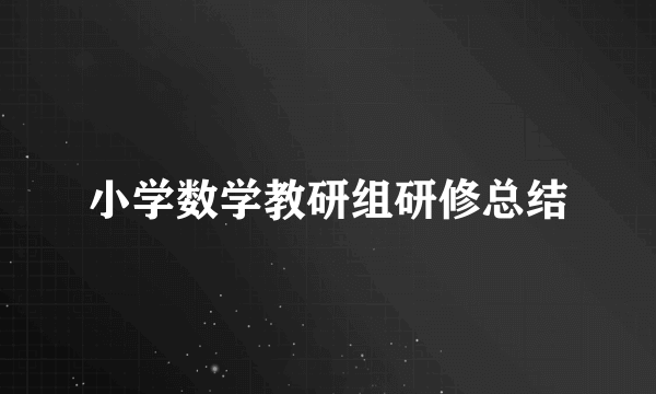 小学数学教研组研修总结