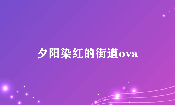 夕阳染红的街道ova