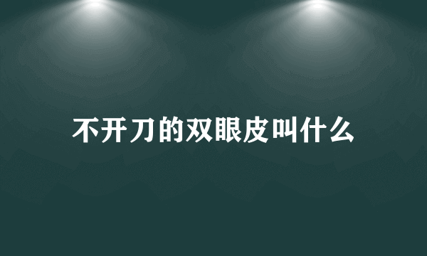 不开刀的双眼皮叫什么