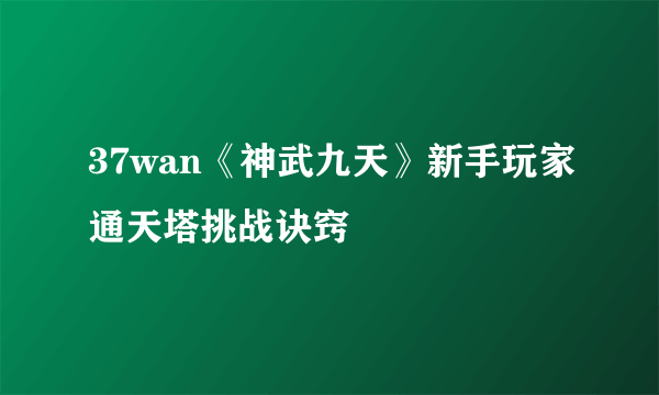 37wan《神武九天》新手玩家通天塔挑战诀窍