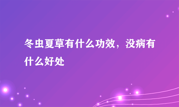 冬虫夏草有什么功效，没病有什么好处