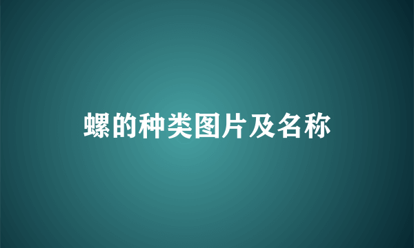 螺的种类图片及名称