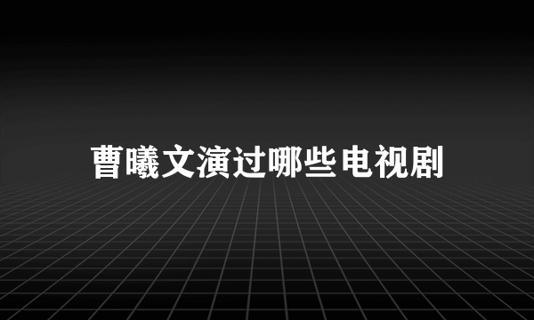 曹曦文演过哪些电视剧